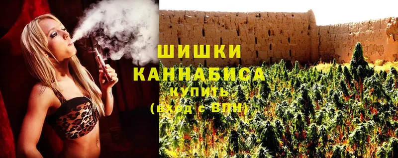 где купить   Бор  Каннабис OG Kush 